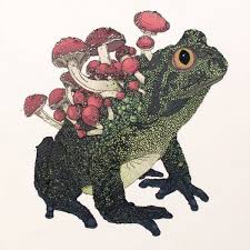 Hybrid Animals By Nicholas Di Genova Art Animal Art Drawings