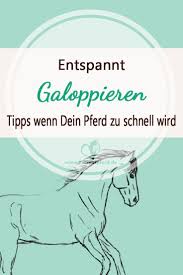 10 фраз в 4 тематиках. Entspannt Galoppieren Das Kannst Du Tun Wenn Dein Pferd Zu Schnell Wird Richtig Reiten Reiten Lernen Pferd