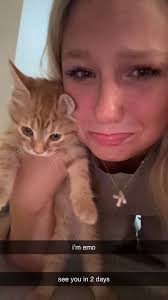 Should You Get A Cat in College