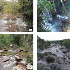 Conduru é um distrito do município de cachoeiro de itapemirim, no espírito santo. A Parque Estadual Da Serra Do Conduru P42 B Cachoeira Acaba Vidas Download Scientific Diagram