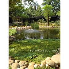 5 Hal Unik Yang Bisa Ditemui Di Godong Ijo Rumika S Journey