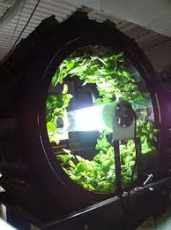 40 Point Plan Film Points To Vertical Farming Food Sky Towers To End Hunger