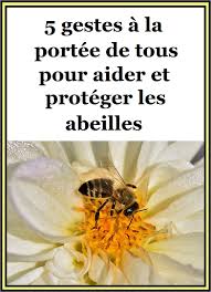 Epingle Sur Fruits Et Legumes