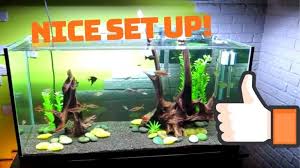 Fill them with filter materials or filter cartridge. Beginner S Guide To Setting Up Of A 10 Gallon Aquarium Fishxperts
