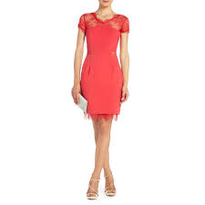 Bcbgmaxazria Shop By Category Dresses View All Nel Lace Back Cocktail Dress Bcbg Cocktail Dress Cheap Cocktail Dresses Cocktail Dress Sale