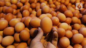 Check spelling or type a new query. 8 Cara Memilih Telur Yang Bagus Dan Berkualitas Untuk Dikonsumsi Hot Liputan6 Com