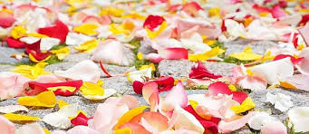 Hier habe ich für ihr blumenkind ein wunderschönes armband zum binden mit einem zarten organzaband gefertigt. Blumenmadchen Ringtrager