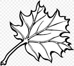 One of the most captivating nature events of the year is the change of leaves in the fall. Coloring Book Autumn Leaf Color Png 1000x896px Coloring Book Adult Artwork Autumn Autumn Leaf Color Download