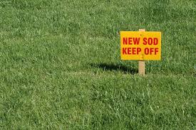 This video will give you a timeline of how to take care of your new sod lawn for the first couple months. How To Care For New Sod A Green Hand