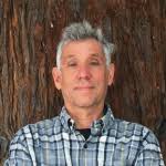 Discovery' of dawn redwoods sparked controversy at the time