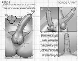 Another Penis Tutorial by ktora 