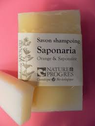 Savon Saponaria Avec Tres Peu De Surgras 1 5 Pour Vous Laver Les Cheveux Au Doux Parfum D Orange Savon A Base D Huile De Coco D Huile De Colza Lorraine