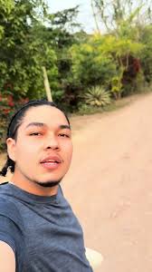 Cómo preparar ciruelas de manera deliciosa