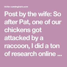 Post By The Wife So After Pat One Of Our Chickens Got Attacked By A Raccoon I Did A Ton Of Research Online To Find How To Find Out Chickens