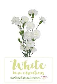 Essential White Wedding Flower Guide Names Types Pics Wedding Flower Guide White Wedding Flowers Wedding Flowers