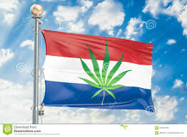 Nederländerna flagga på metall flaggstång. Legalisering Av Cannabis I Nederlanderna Flagga Med Marijuanabetesmarken Stock Illustrationer Illustration Av Flagga Cannabis 97919738