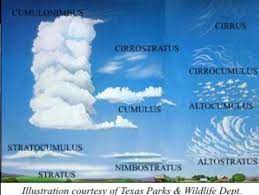 Get it on your screen with just a few clicks. Cloud Types Clouds Cloud Type Cloud Illustration