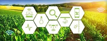 Последние твиты от agricultura (@agriculturafm). 5g Y La Iot De Agricultura Inteligente Promesa De Hacer Que El Mundo Vuelva A Ser Verde Lanner