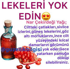 Cannur Adli Kullanicinin Guzellik Bakim Panosundaki Pin Dogal Guzellik Ipuclari Bitkisel Tarifler Dogal Saglik