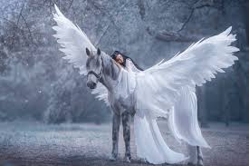 Birds Of A Feather Flock Together Song When You Love Someone Who S Too Much Like You By Annie Zelm P S I Love You