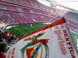 A maneira mais barata é de linha 402 ônibus, que custa r$ 4. Merchandising Do Sl Benfica Official Store Loja Online E Loja Adidas In Geral