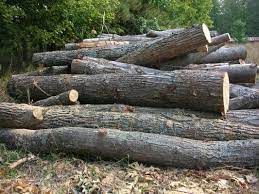 $0 (vancouver) pic hide this posting restore restore this posting. Buying Cheap Firewood Where To Find It