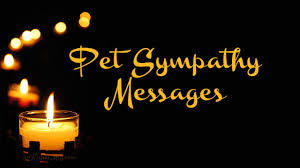 This is especially true when the pet owner has had the pet for a number of years or when the pet reminds us of a deceased loved one. 67 Pet Sympathy Messages Condolence Messages Wishesmsg