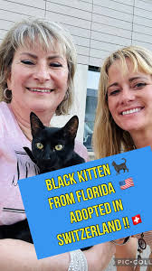We wanted to share Tuck’s OFFICIAL happy-tail story & he now has the BEST  FAMILY with Marika Paschoud & her husband!! It definitely was NOT smooth  sailing for Tuck & I, that’s for sure (more below)., ...