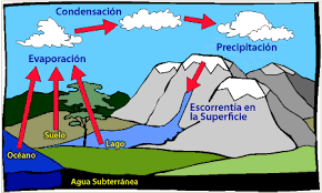 El ciclo del agua es un ciclo continuo que no tiene un principio o un fin fácilmente determinados uno de los primeros pasos a partir de los cuales se desarrolla el ciclo del agua es cuando se hacen. Para Donde Se Va El Agua Ciclo Del Agua De Riego Turfes Com