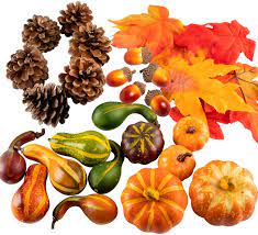Check spelling or type a new query. Amazon Com Whaline Thanksgiving Artificial Harvest Pumpkins Maple Leaves Gourd Pine Cones And Acorns Set For Autumn Fall And Halloween Home Table Decoration 31 Pieces Home Kitchen