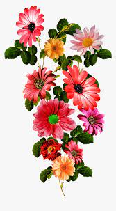 Vector Flower Vector Art Flower Vector Vector Flower Flowers Vector Art Hd Png Download I Vintage Flowers Wallpaper Wallpaper Nature Flowers Flower Painting
