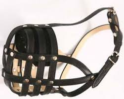 Details About Dean Tyler Royal Leather Basket Muzzle Flexible With Maximum Ventilation