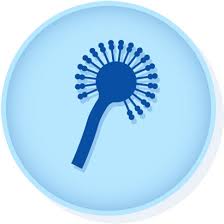 Invasive aspergillosis is most commonly caused by a. Microbiologics 01182p Aspergillus Flavus Derived From Atcc 9643 Kwik Stik