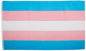 Jennifer pellinen transgender flag.svg 512 × 284; Fahne Trans Pride Rainbow Planet Lgbt Shop