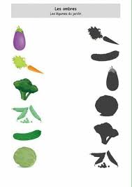 Sombras Jardin De Legumes Carte Montessori Jeux Maternelle