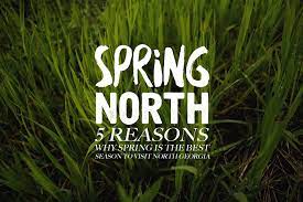 We did not find results for: Spring North 5 Reasons Why Spring Is The Best Season To Visit North Georgia