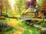 Small Cottage Garden