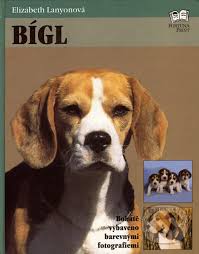 Image result for bígl