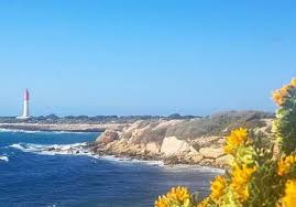 Pedro mendes (cruciate ligament rupture). Provence Marseille Urlaub Camping In Sudfrankreich Franzosisches Essen