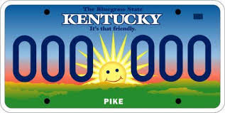 I Chosen This Because In 1901 New York Became The First State To Require License Plates License Plate Personalized License Plates Car License Plates