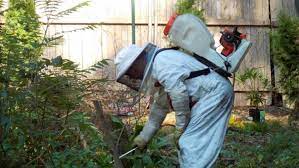 Here at jenkins pest and lawn, we are your san antonio pest exterminating experts. 5 Reasons To Hire A Pest Control Company Angi