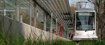 Gefragt ist, wann eine straßenbahn links überholt werden darf. Fahrplan