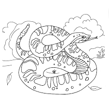 * * * * a rattlesnake coloring page. For Kids Snakes Humane Society Of Southern New Mexico