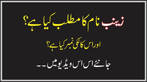 Delegation urdu translation is الوفد. Relegation Meaning In Urdu Translation Of Relegation In English