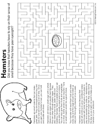 Birds are listed separately in the list of nocturnal birds. Pet Hamster Maze Fact And Coloring Page Kids Book Club Girl Scout Activities Brownie Pet Badge