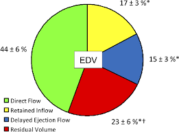 figure 3 from blood flow in the human right ventricle