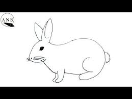 رسم ارنب كيف ترسم ارنب رسم سهل للمبتدئين how to draw a rabbit step by step easy drawing youtube in 2021 animal drawings easy drawings animals