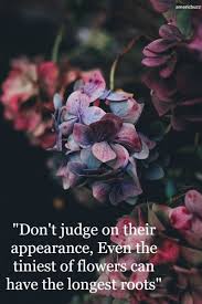 Maybe you would like to learn more about one of these? 40 Beautiful Flower Quotes And Puns For Instagram 2021