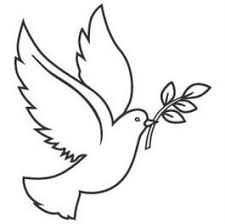 Dove And Olive Branch Dove With Olive Branch Graphic Dove With Olive Branch Graphic Sku Taube Zeichnung Olivenzweige Taube