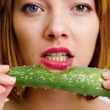 Jane Pinto (janepenskypinto)